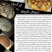 recettes de "oum assil" special vienoiseries et pains - Le plaisir du partage