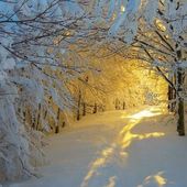 Défi N°90 Thème " La neige " - Les Défis de la Plume D'Evy