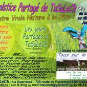 Ze Solstice partagé 2015 (invit) - tosulech.over-blog.com