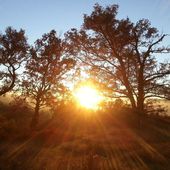 Le cadre Naturel . . . - tosulech.over-blog.com