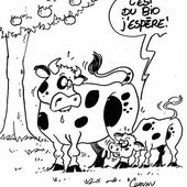 Lactalis fait son beurre sur le dos des éleveurs laitiers, il n'est pas le seul