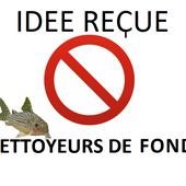 stop idées reçues-nettoyeurs de fond