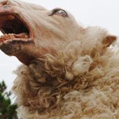 #Lundimashup : Shaun of the dead le mouton