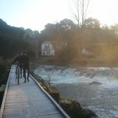 La Torfousienne 2013 - Séguinière Vélo Sport (SVS)