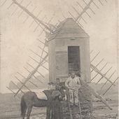 Evident ou pas (4) - Ouessant-mouton / les Lutins du M.