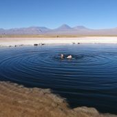 La laguna Cejar : destination désormais de luxe à San Pedro de Atacama