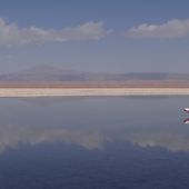 Les sites RAMSAR au Chili