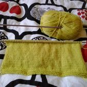 tricot - Le blog de mapetitelibellule
