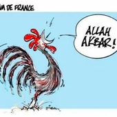La France vue de l'étranger. - TRIBUNE LIBRE