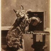 Mère et fille 2.0 - Trop de LOLCats tue le LOLCat?
