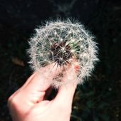 Les 5 clés pour rejoindre les influenceurs, les nouveaux aventuriers du monde digital ! - Mère et fille 2.0