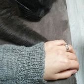 un amour de chat - crea.vlgomez.photographe.over-blog.com