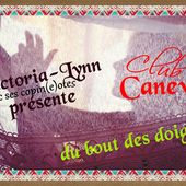 club canevas ; jour 2 - crea.vlgomez.photographe et bricoleuse touche à tout.over-blog.com