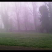 Disparition sous la brume - crea.vlgomez.photographe et bricoleuse touche à tout.over-blog.com