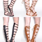 Catching Gladiator Fever