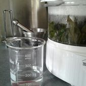 Faire ses propres hydrolats... sans alambic !