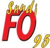 CTSD - 03/09/14 - ajustements carte scolaire - SNUDI FO 95