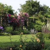 Le Jardin de Bene