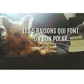 Les 5 raisons qui font d'un polar un bon polar