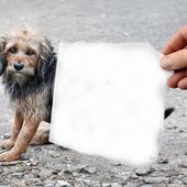 Compléter une image à la manière de Ben Heine