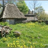Les toits de Chaume à Moudeyres