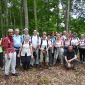 Randonnée de Vaucresson à Chaville - 18,4 km. - Carnets de r@ndos...