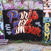 Promenade à Paris Hiver 2016. 3/..