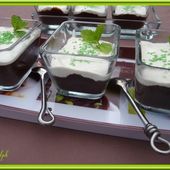 Crème Façon Danette Chocolat Menthe
