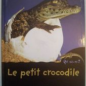 Le petit crocodile. Livre documentaire dès 4 ans. Mango jeunesse. -