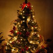 Poème le Sapin de Noël -