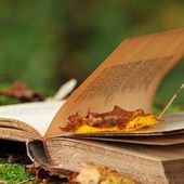 Pourquoi lire est-il si important? -