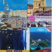 corse -