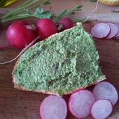 Pesto végétalien de fanes de radis et baies roses. -