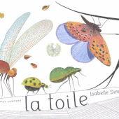 La toile. Texte et illustrations d'Isabelle SIMLER. (Dès 3 ans)