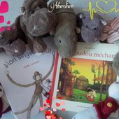 Il y a doudou et doudou! (Deux albums dès 2 ans)