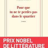 Pour que tu ne te perdes pas dans le quartier. Patrick MODIANO.