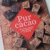 Pur cacao. 50 recettes végétales pour redécouvrir le chocolat. Delphine POCARD