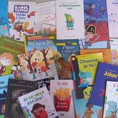 Bibliographie - Premières Lectures / Premiers romans pour jeunes lecteurs. 6-7-8 ans