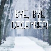 Récapitulatif - Coups de coeur + Favoris Instagram - Décembre 2016