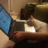 Ma langue aux chats !
