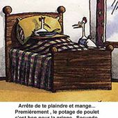 Actu sur la grippe aviaire, la suite - Blog de l'ESAT Bellevue, foie gras et travail adapté