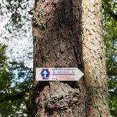 chemin de la paix et de la liberte - Bruyères-Vosges