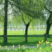 Un Printemps à Fontenay : à vous de voter ! - Fontenay le Blog