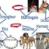 Pour en finir avec les histoires de collier et de harnais