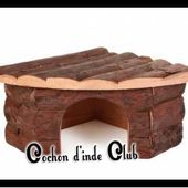 Quelle cabane pour le cochon d'inde ? - Cochon d'inde Club, info et actu !