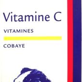 Vitamine C : vitale pour les cochons d'inde - Cochon d'inde Club, info et actu !