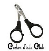 Le coupe ongles pour cochon d'inde, cobaye - Cochon d'inde Club
