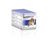 Recovery plus pour cochon d'inde - Cochon d'inde, cobaye, guinea pig, infos, actus, mooc, video, santé, focus