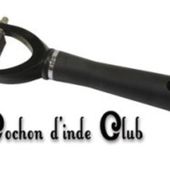Couper les noeuds des cochons d'inde à poils longs - Cochon d'inde Club