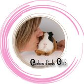 Evolution du corysa chez le cochon d'inde - Cochon d'inde Club, info et actu !